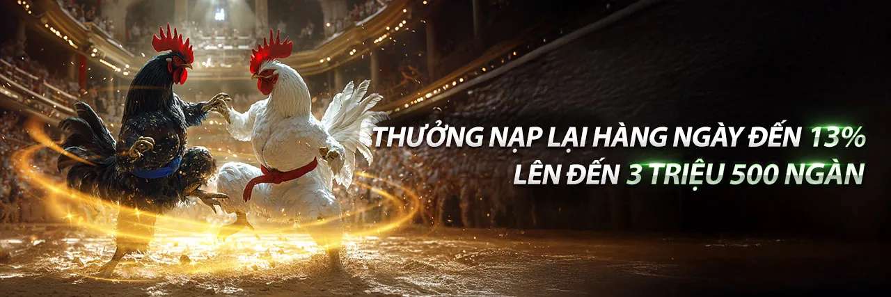 Sân đấu đá gà kịch tính tại fv99
